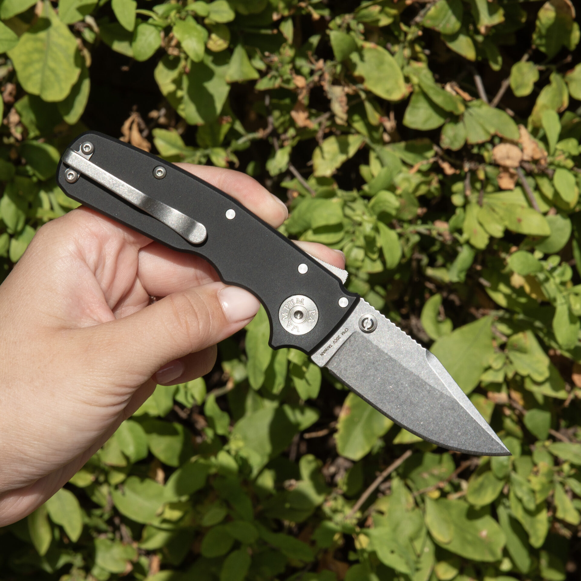 Andrew Demko AD20.5 Shark Cub Shark Lock Folding Knife - Image 2