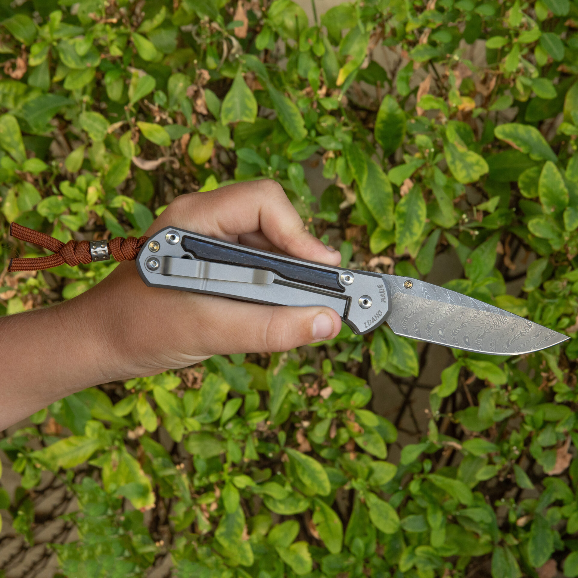 Chris Reeve Large Sebenza 31 Bog Oak - Drop Point / Chad Nichols Boomerang Damascus | L31-1102 - Image 2