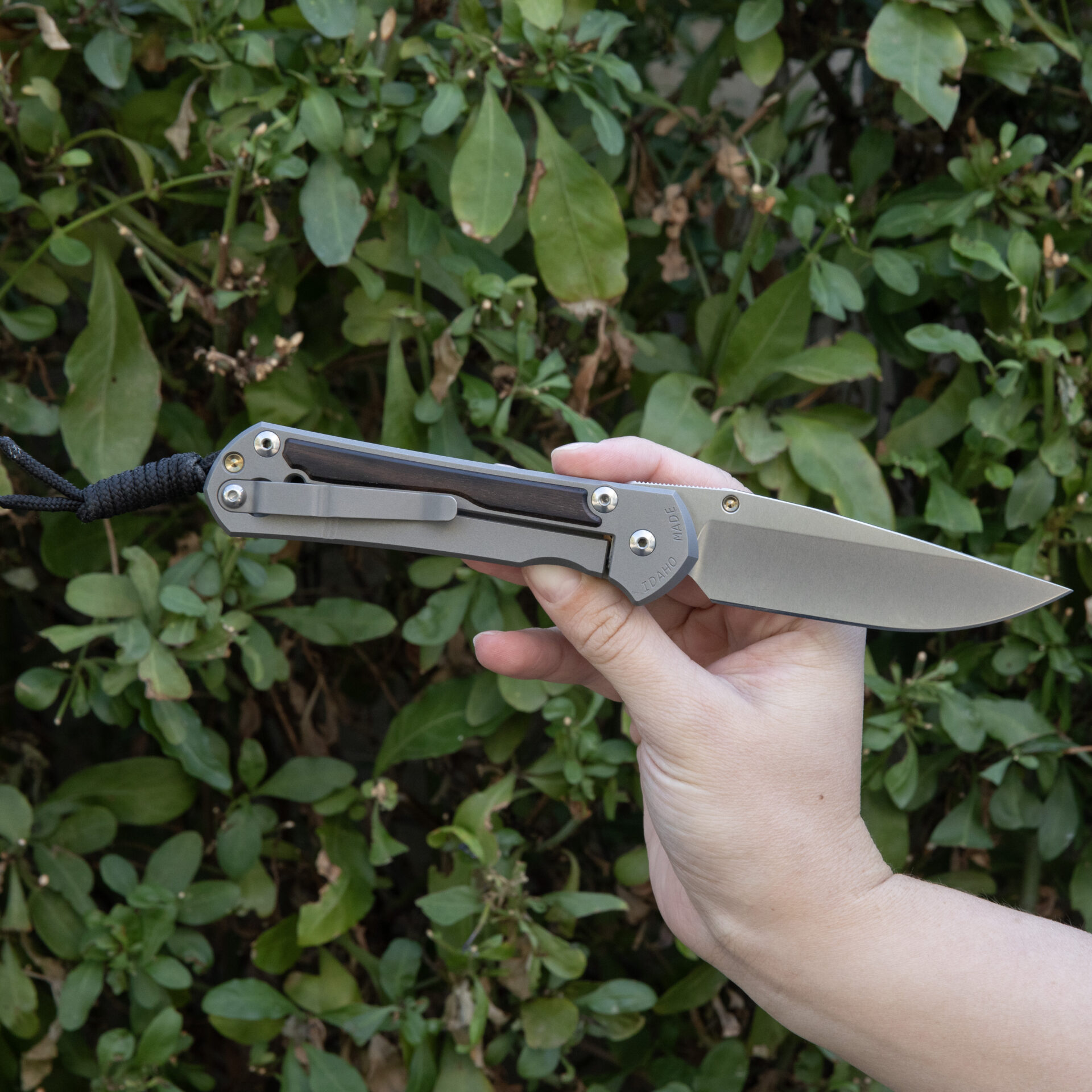 Chris Reeve Knives Large Sebenza 31 Macassar Ebony L31-1116 - Image 2