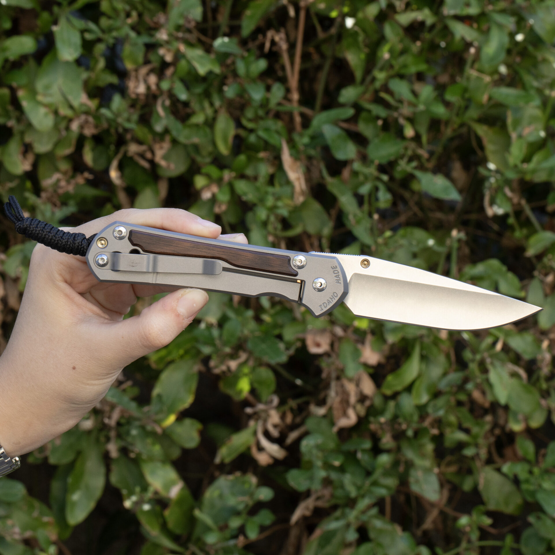 Chris Reeve Knives Large Sebenza 31 Macassar Ebony L31-1116 - Image 2