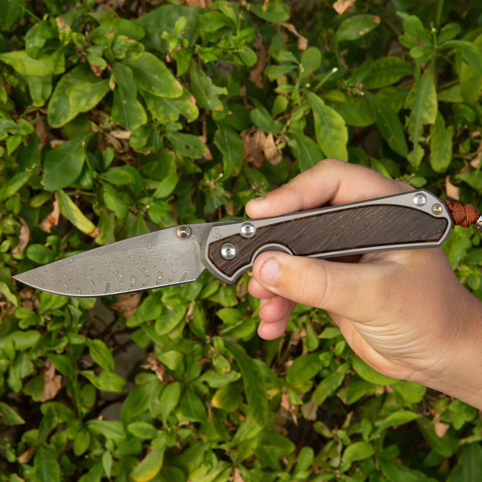 Chris Reeve Large Sebenza 31 Bog Oak - Drop Point / Chad Nichols Boomerang Damascus | L31-1102 - Image 3