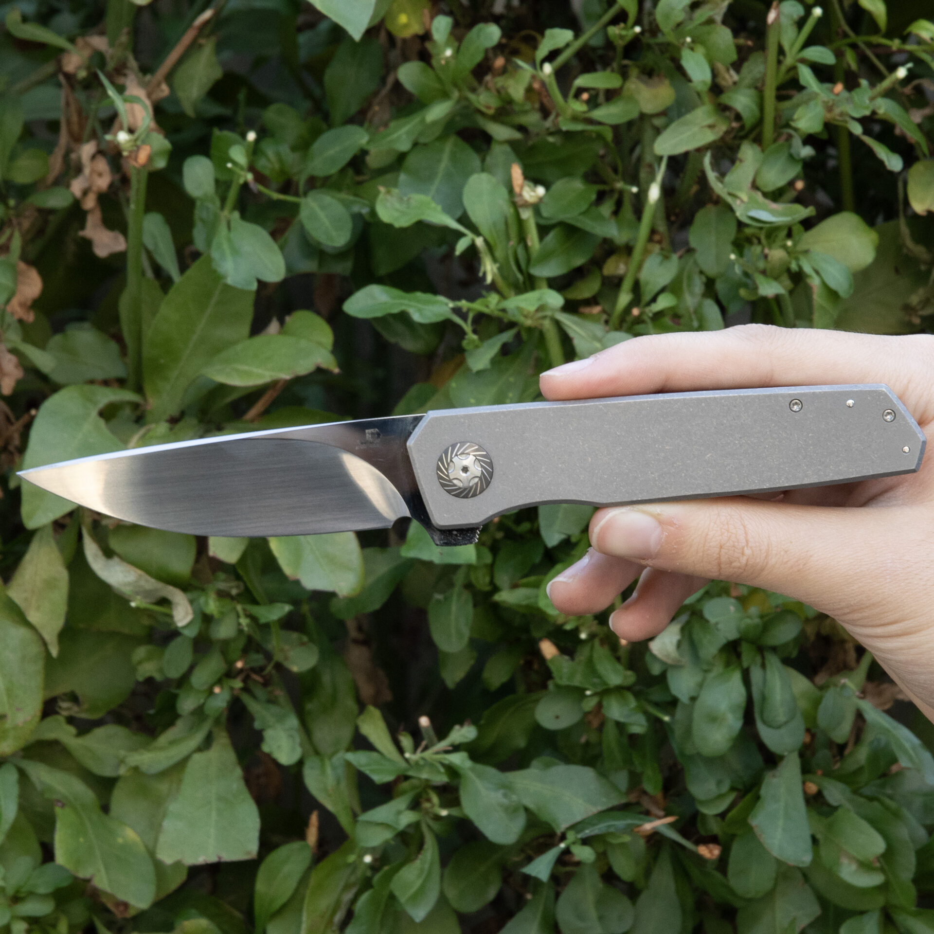 Ultra rare - JDVD Iridium ATS34 and Bead-blasted/tumbled TI - Image 3