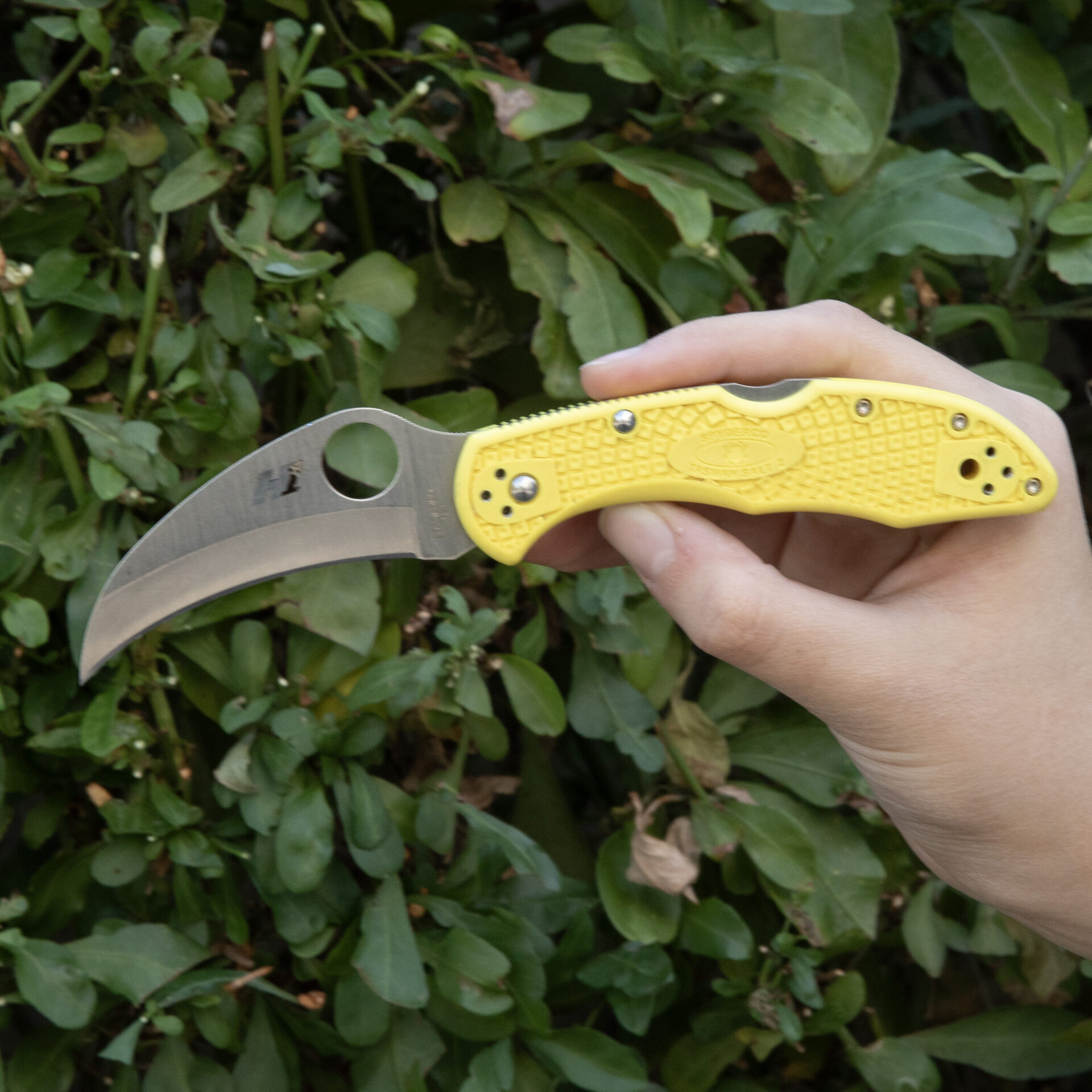 Spyderco Tasman Salt 2 C106PYL2 - Image 3