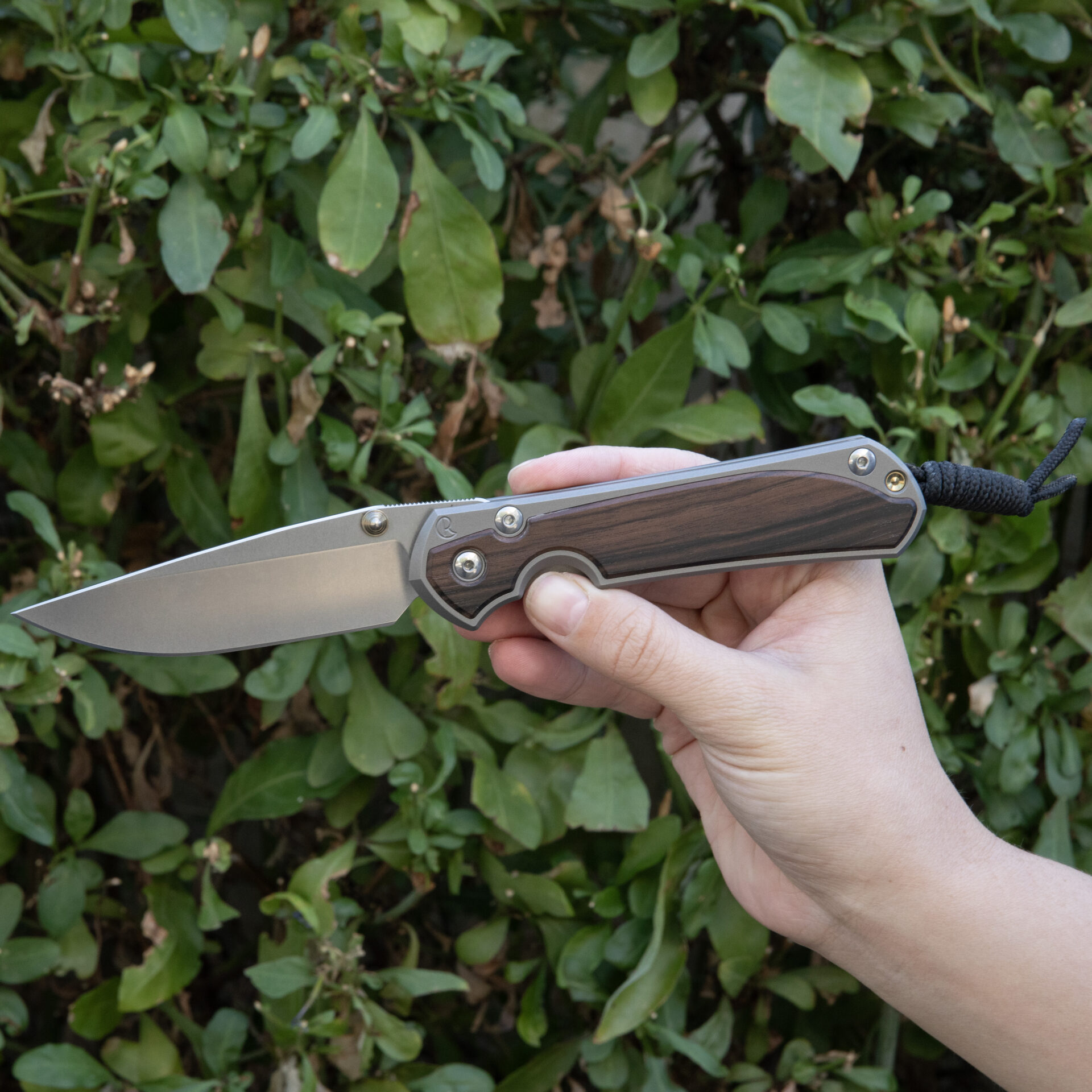 Chris Reeve Knives Large Sebenza 31 Macassar Ebony L31-1116 - Image 3