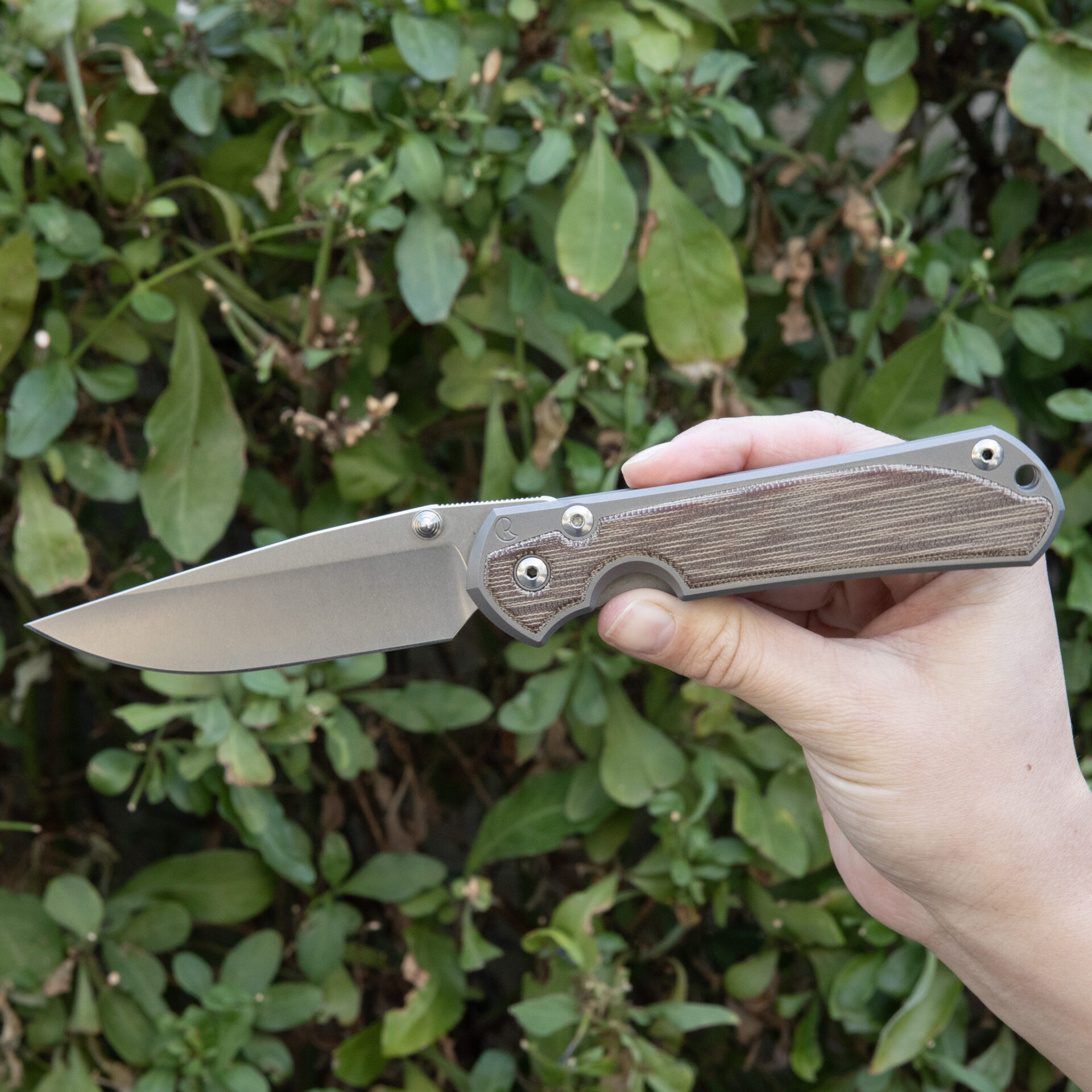 Chris Reeve Large Sebenza 31 Natural Canvas Micarta, Drop Point, S35 L31-1212 - Image 3