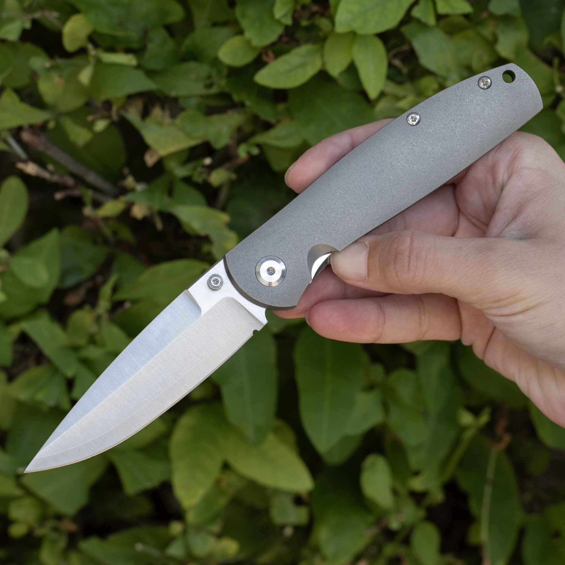 Monterey Bay Knives Rosalinda, Zirblast Titanium Handle, ZDP-189 (66-67HRC) - Image 3