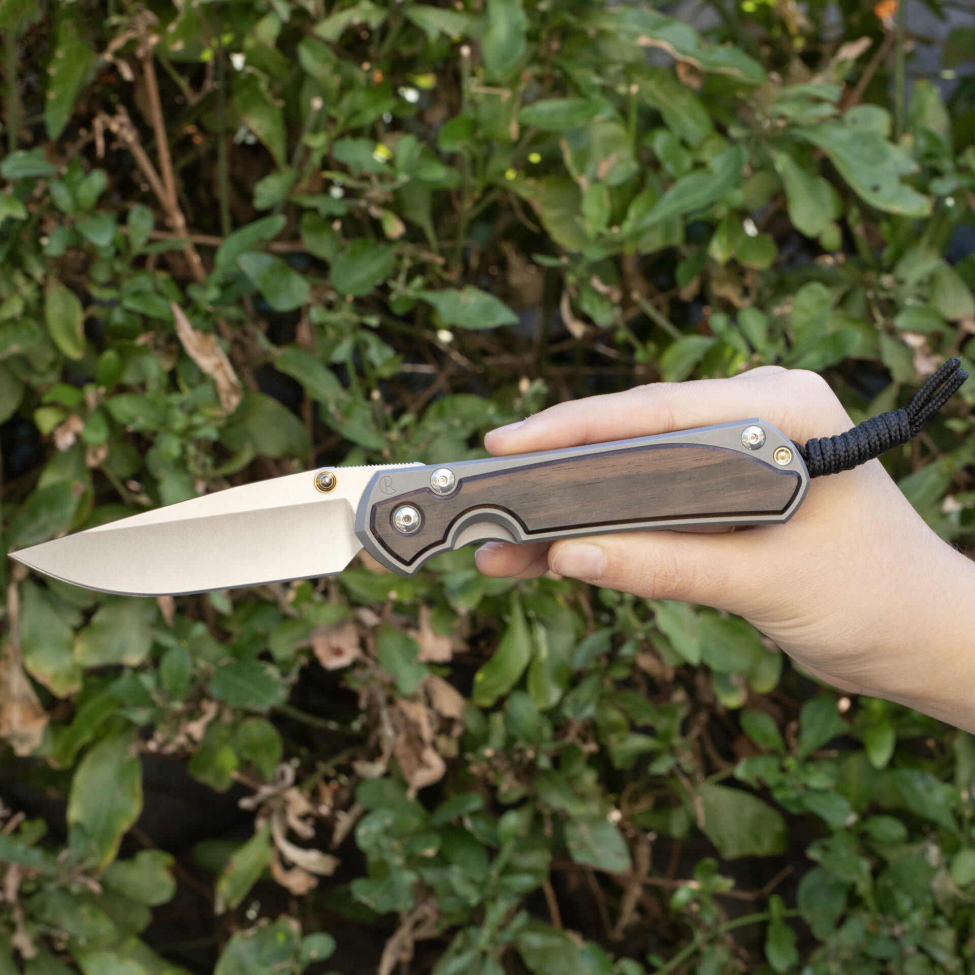 Chris Reeve Knives Large Sebenza 31 Macassar Ebony L31-1116 - Image 3