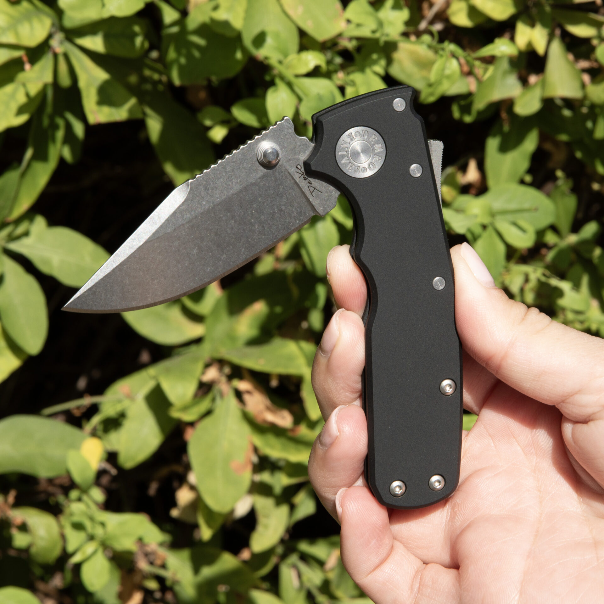Andrew Demko AD20.5 Shark Cub Shark Lock Folding Knife - Image 4