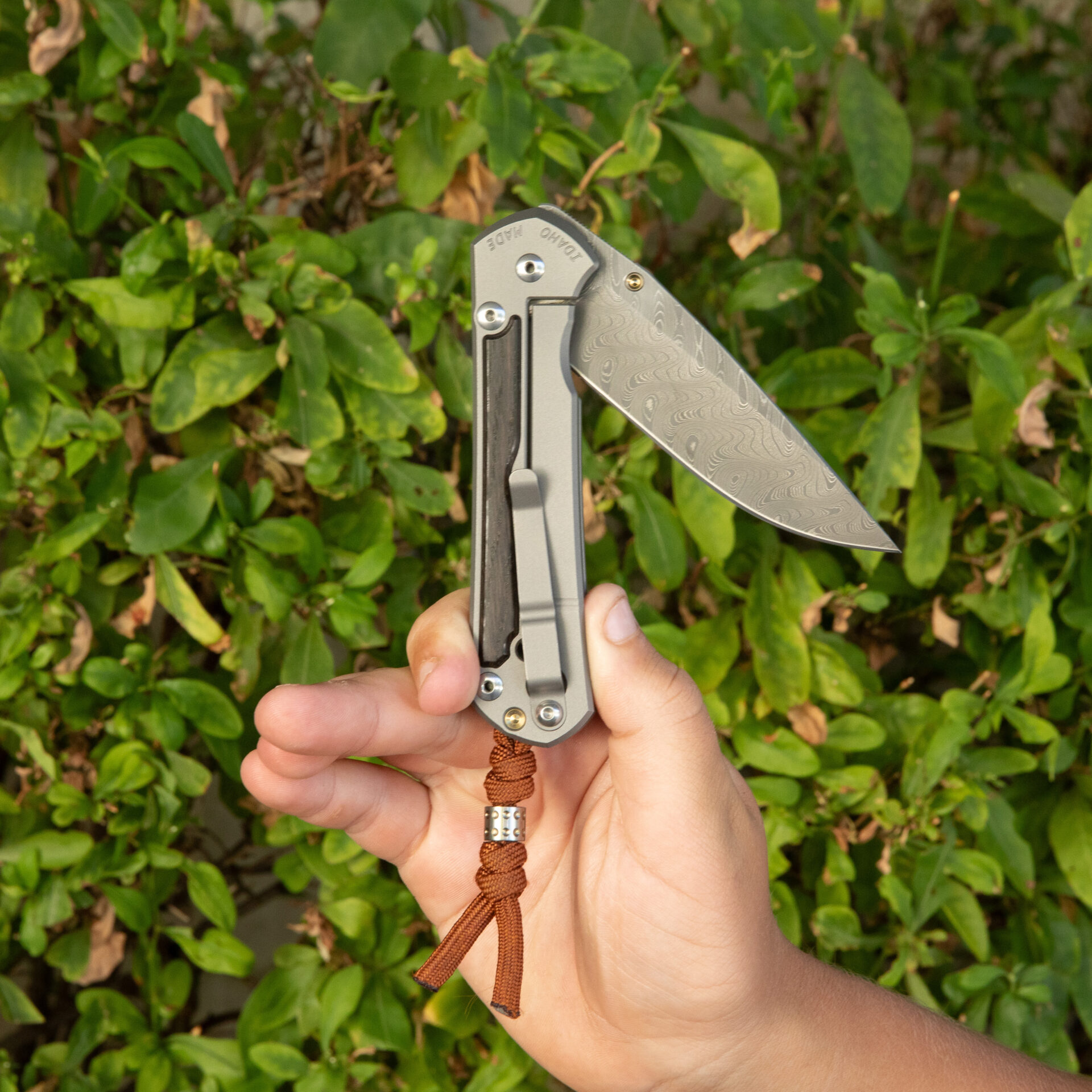 Chris Reeve Large Sebenza 31 Bog Oak - Drop Point / Chad Nichols Boomerang Damascus | L31-1102 - Image 4
