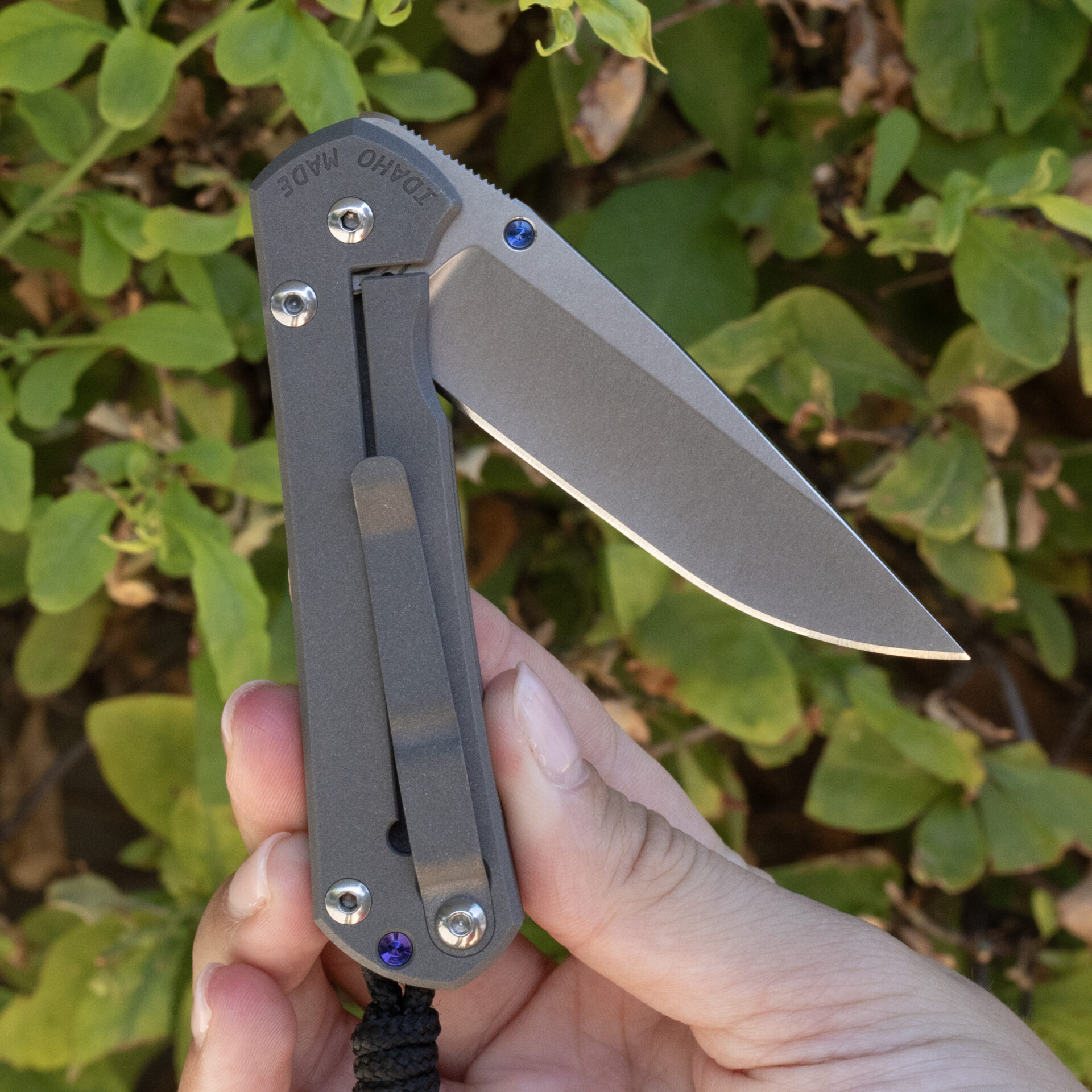 Chris Reeve Small Sebenza 31 Plain S31-1000 - Image 4