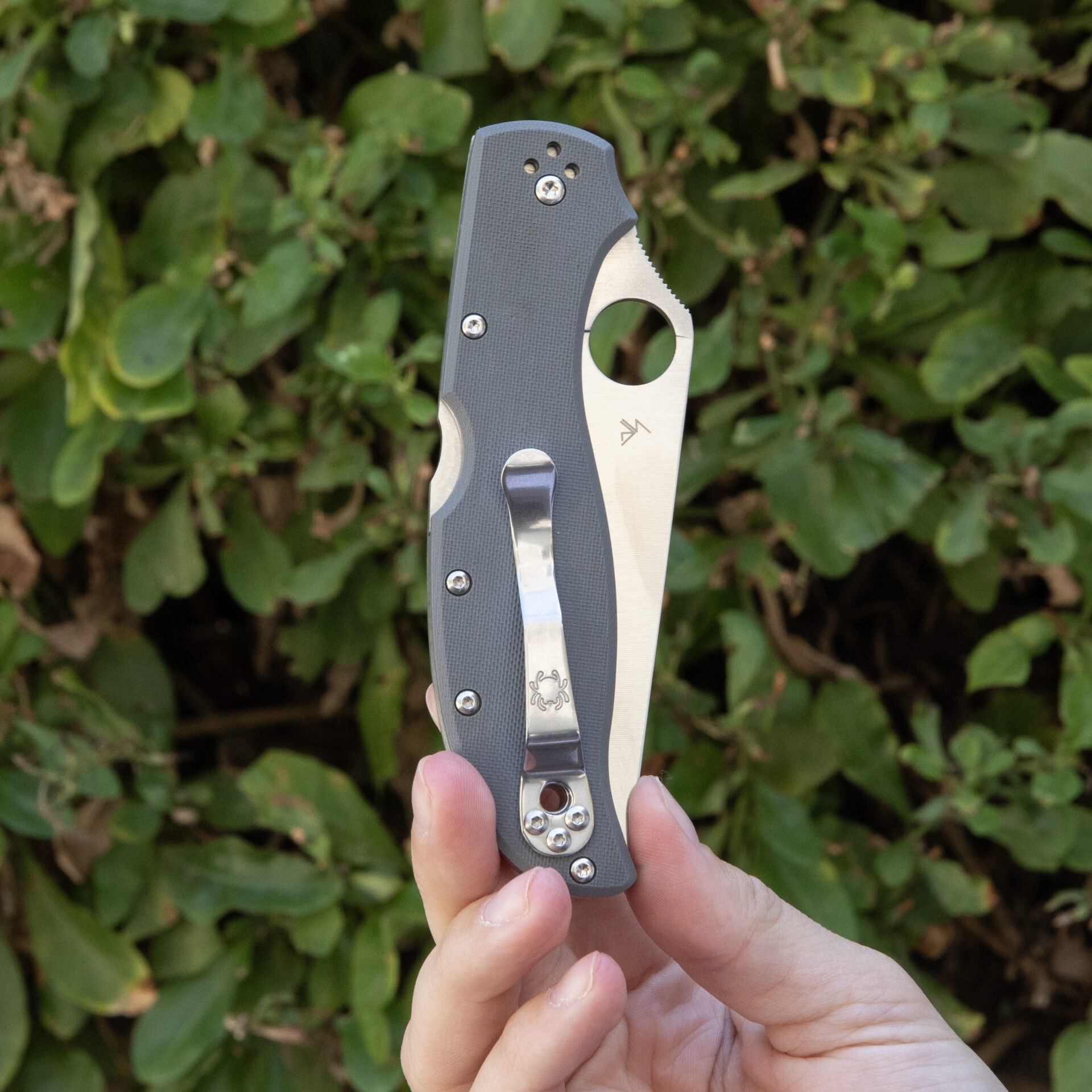 SPYDERCO STRETCH 2 XL GRAY G-10 CPM CRU-WEAR C258GGYCW - Image 4