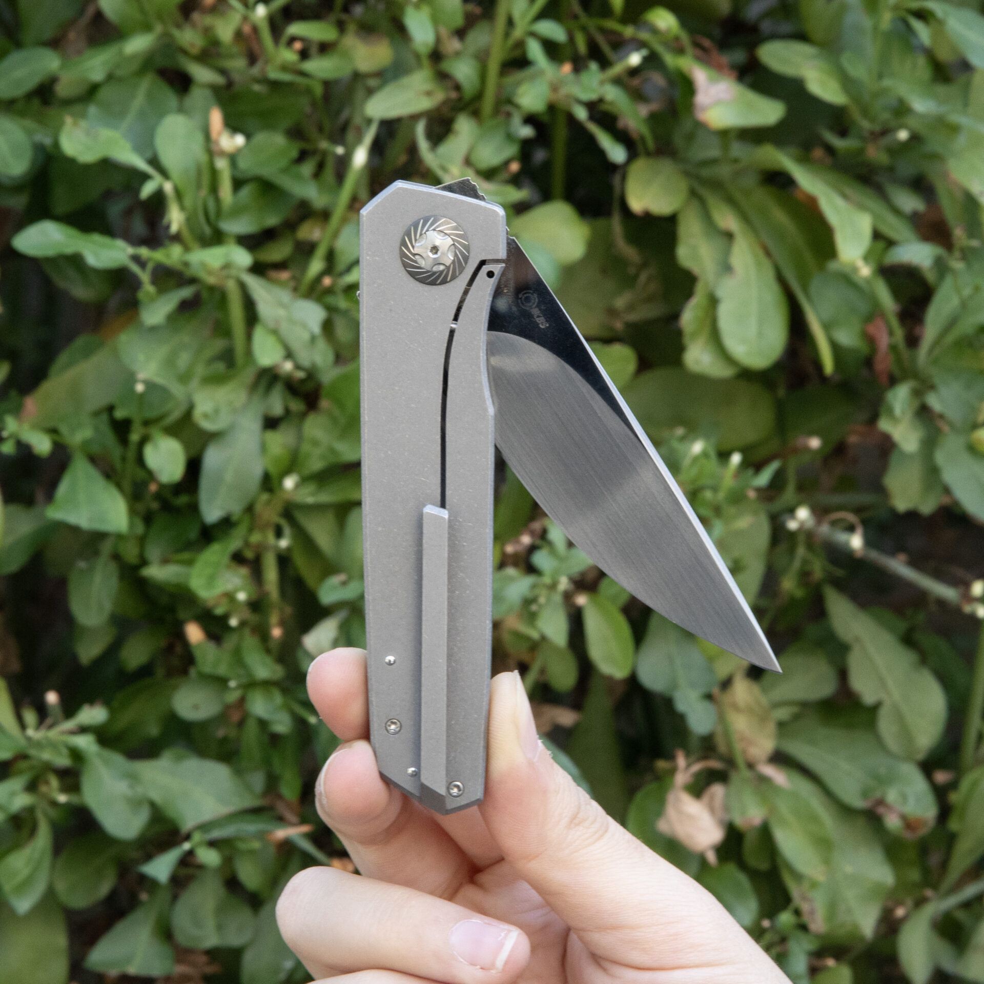 Ultra rare - JDVD Iridium ATS34 and Bead-blasted/tumbled TI - Image 4