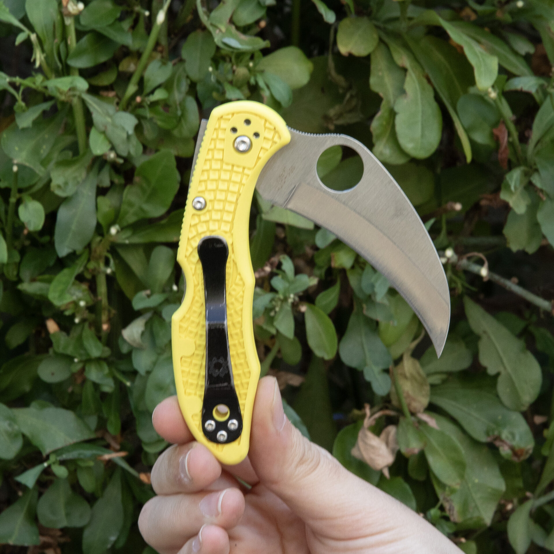Spyderco Tasman Salt 2 C106PYL2 - Image 4