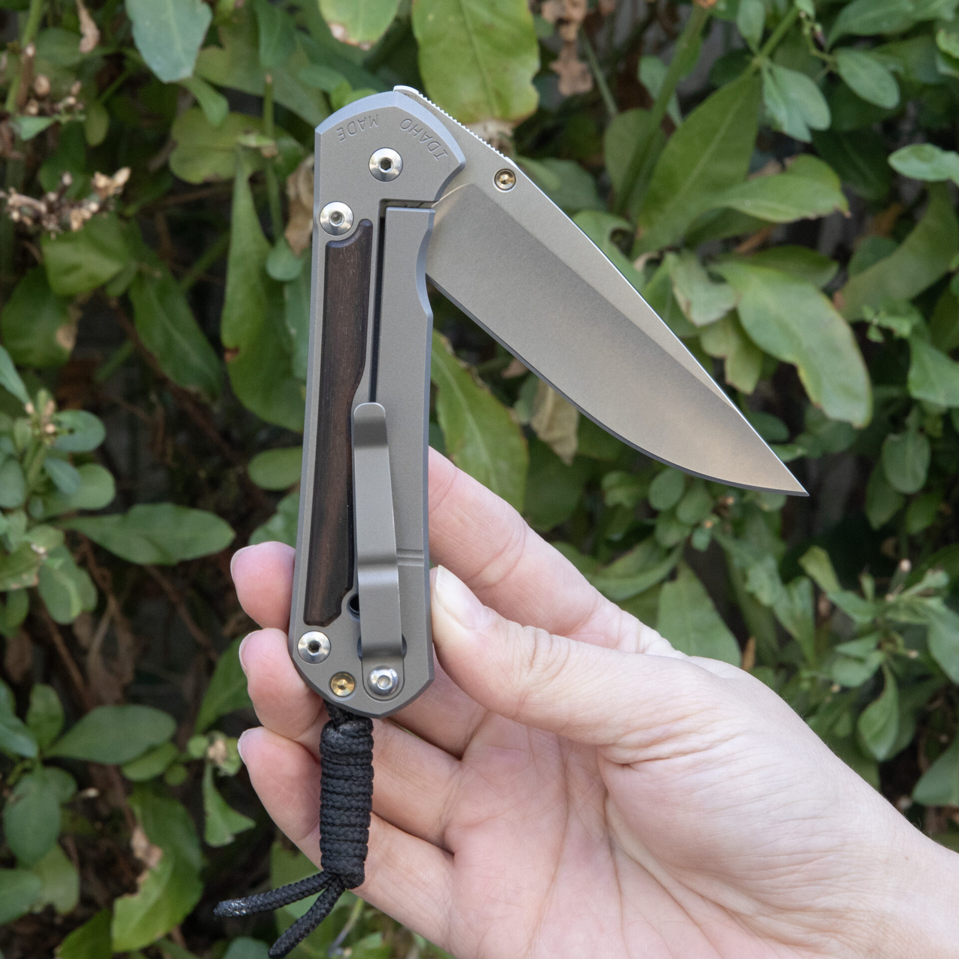 Chris Reeve Knives Large Sebenza 31 Macassar Ebony L31-1116 - Image 4