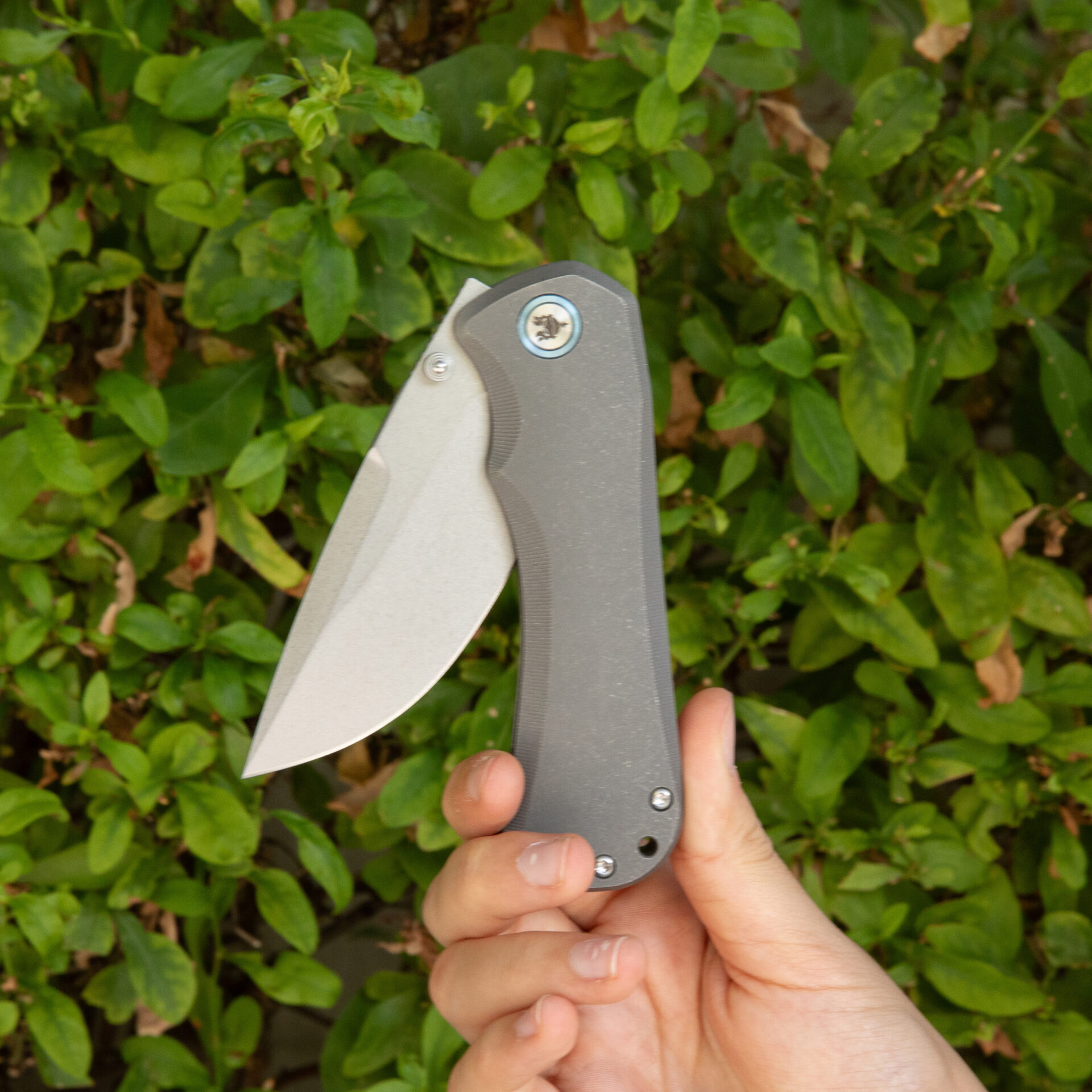 War Blades - Warrior (Standard) - Image 5