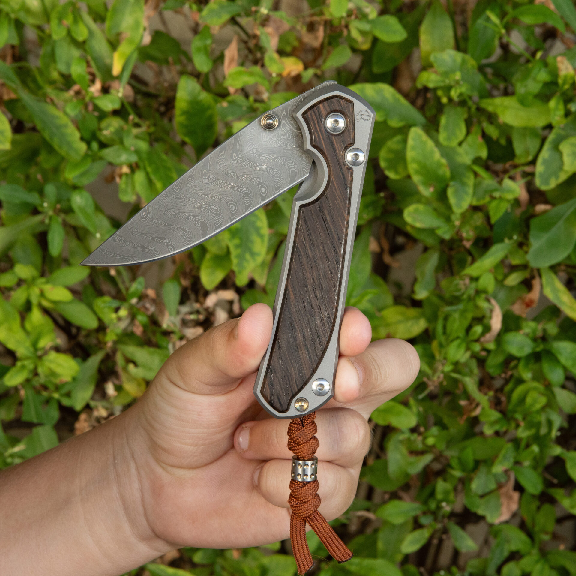Chris Reeve Large Sebenza 31 Bog Oak - Drop Point / Chad Nichols Boomerang Damascus | L31-1102 - Image 5