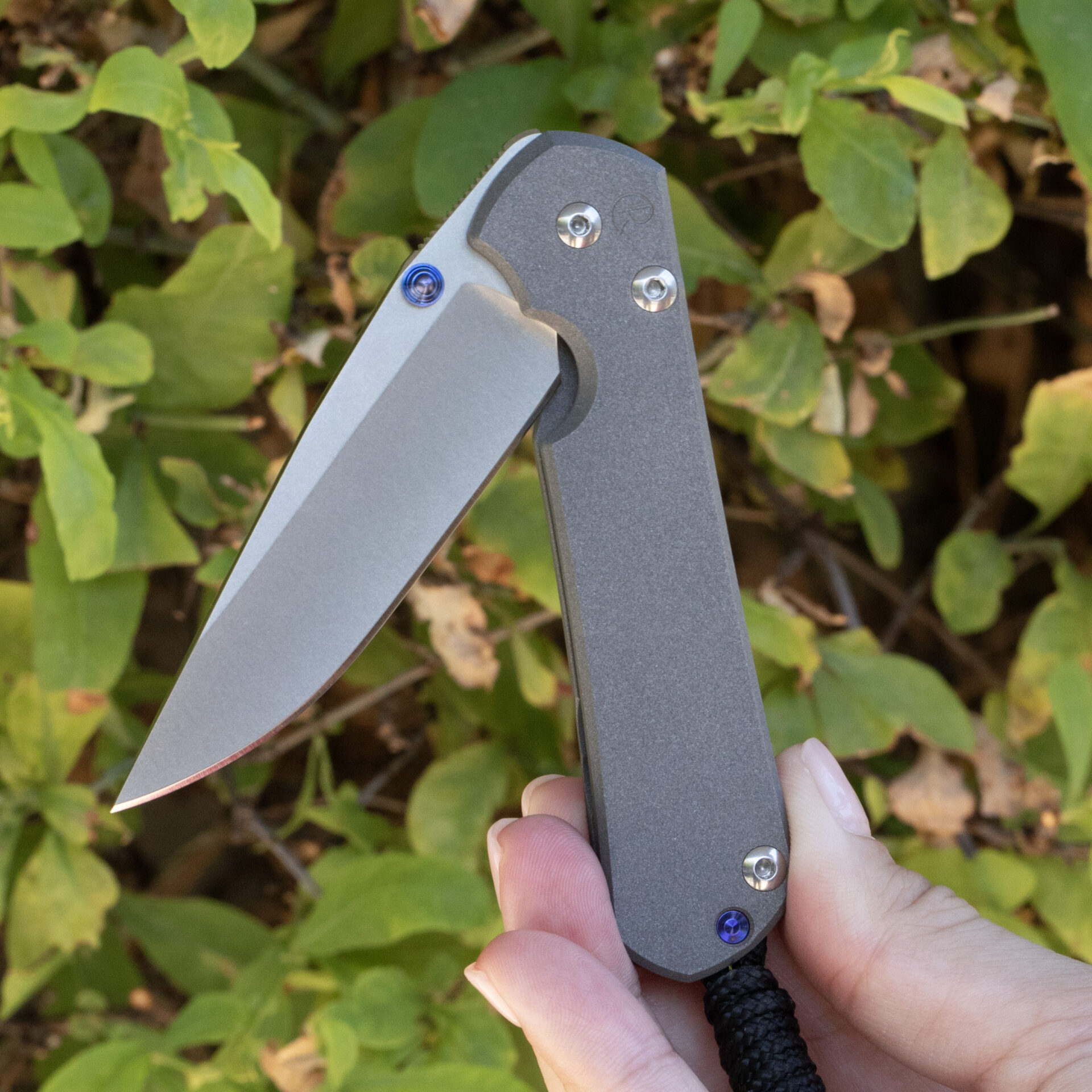 Chris Reeve Small Sebenza 31 Plain S31-1000 - Image 5