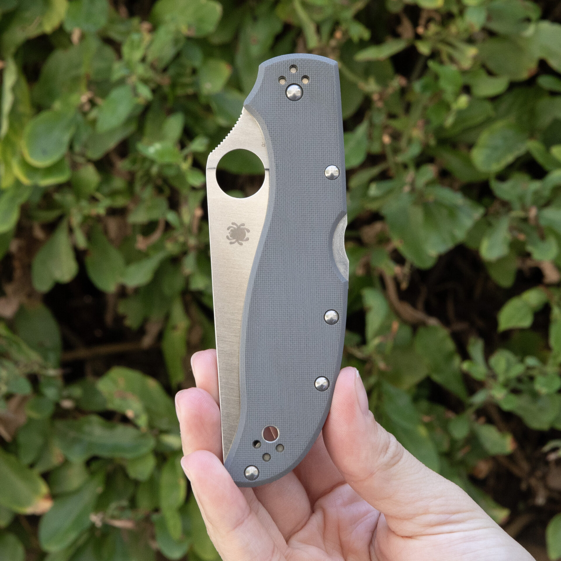 SPYDERCO STRETCH 2 XL GRAY G-10 CPM CRU-WEAR C258GGYCW - Image 5