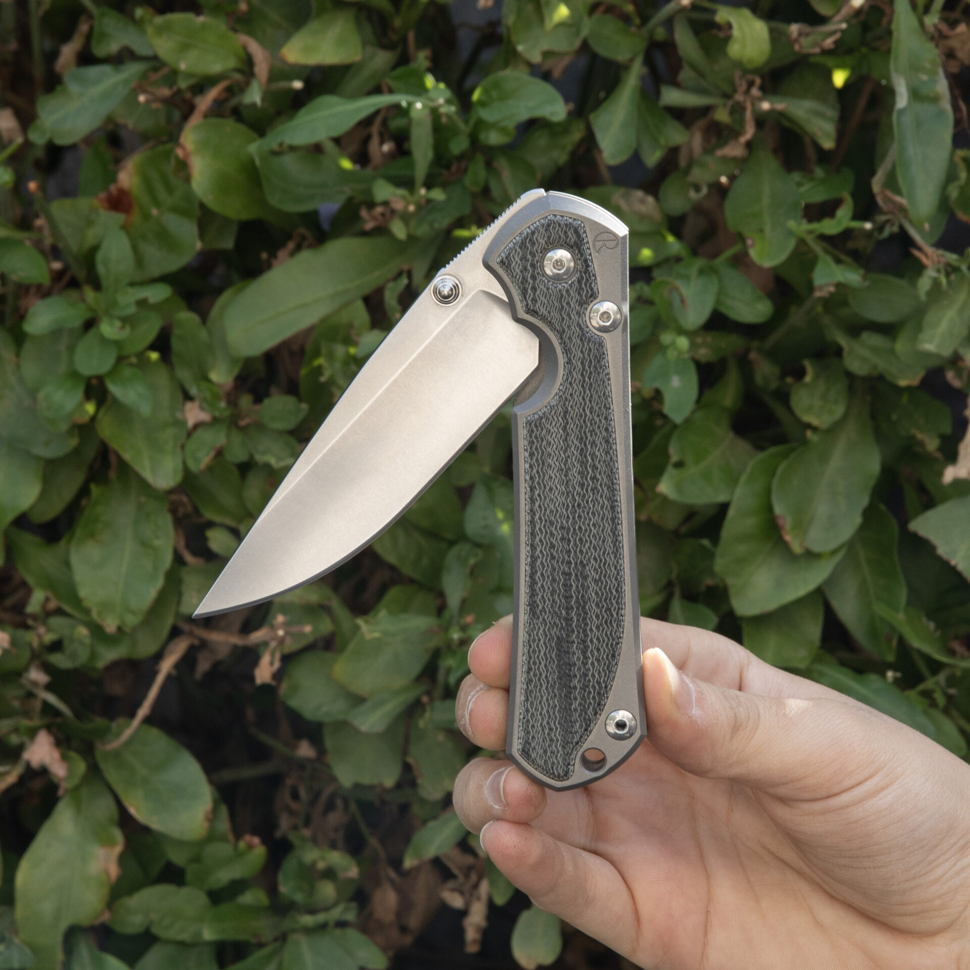 Chris Reeve Large Sebenza 31 Black Canvas Micarta Drop Point L31-1200 - Image 5