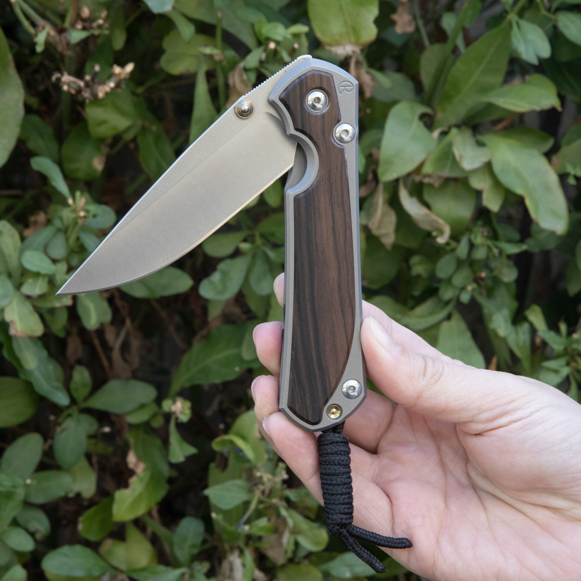 Chris Reeve Knives Large Sebenza 31 Macassar Ebony L31-1116 - Image 5