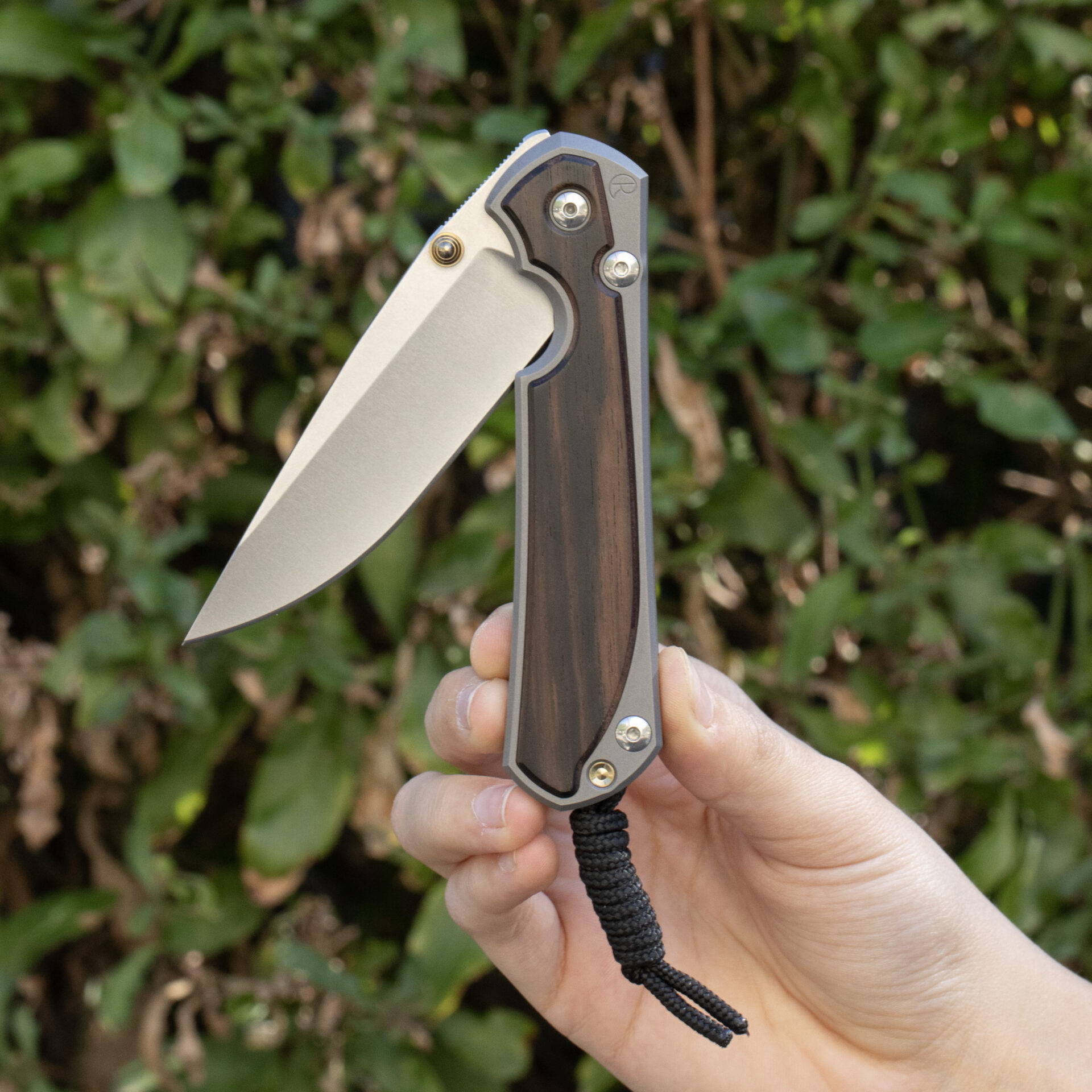 Chris Reeve Knives Large Sebenza 31 Macassar Ebony L31-1116 - Image 5