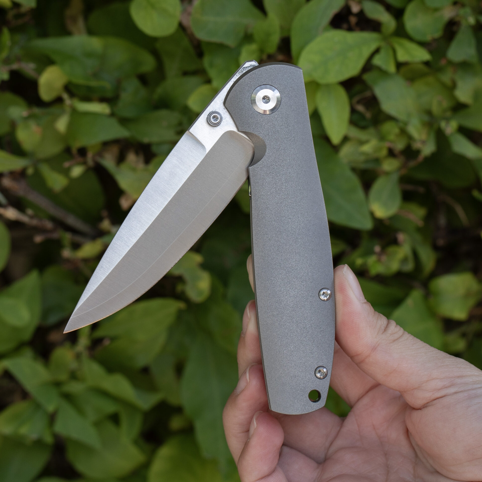 Monterey Bay Knives Rosalinda, Zirblast Titanium Handle, ZDP-189 (66-67HRC) - Image 5