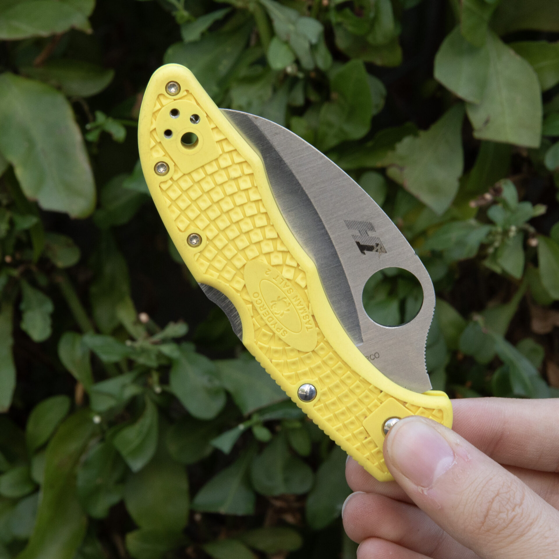Spyderco Tasman Salt 2 C106PYL2 - Image 6