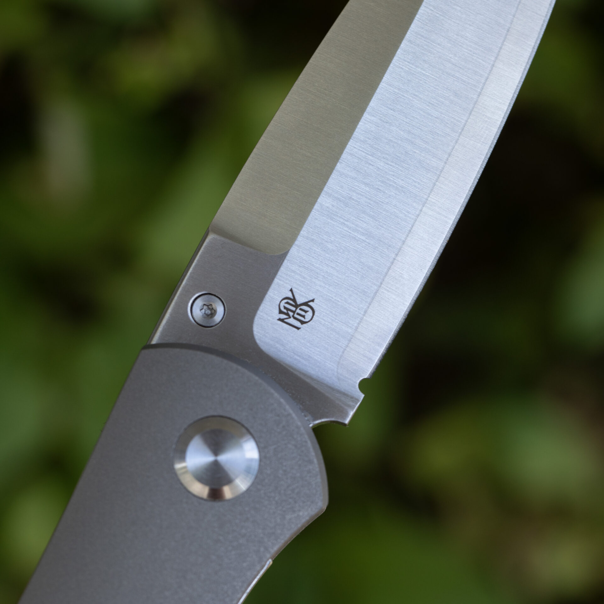 Monterey Bay Knives Rosalinda, Zirblast Titanium Handle, ZDP-189 (66-67HRC) - Image 6