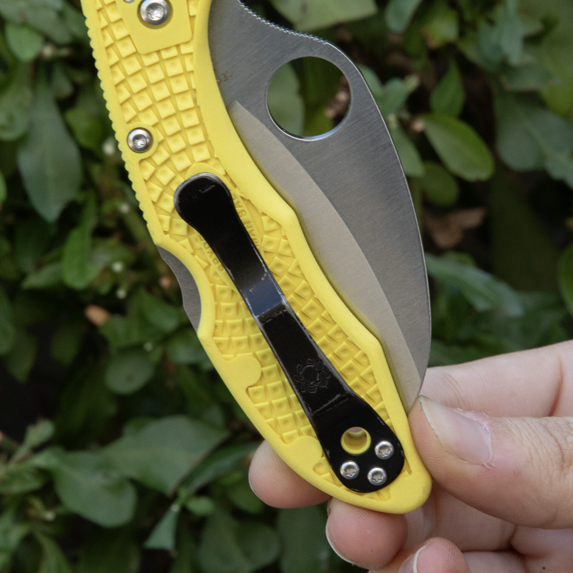 Spyderco Tasman Salt 2 C106PYL2 - Image 7