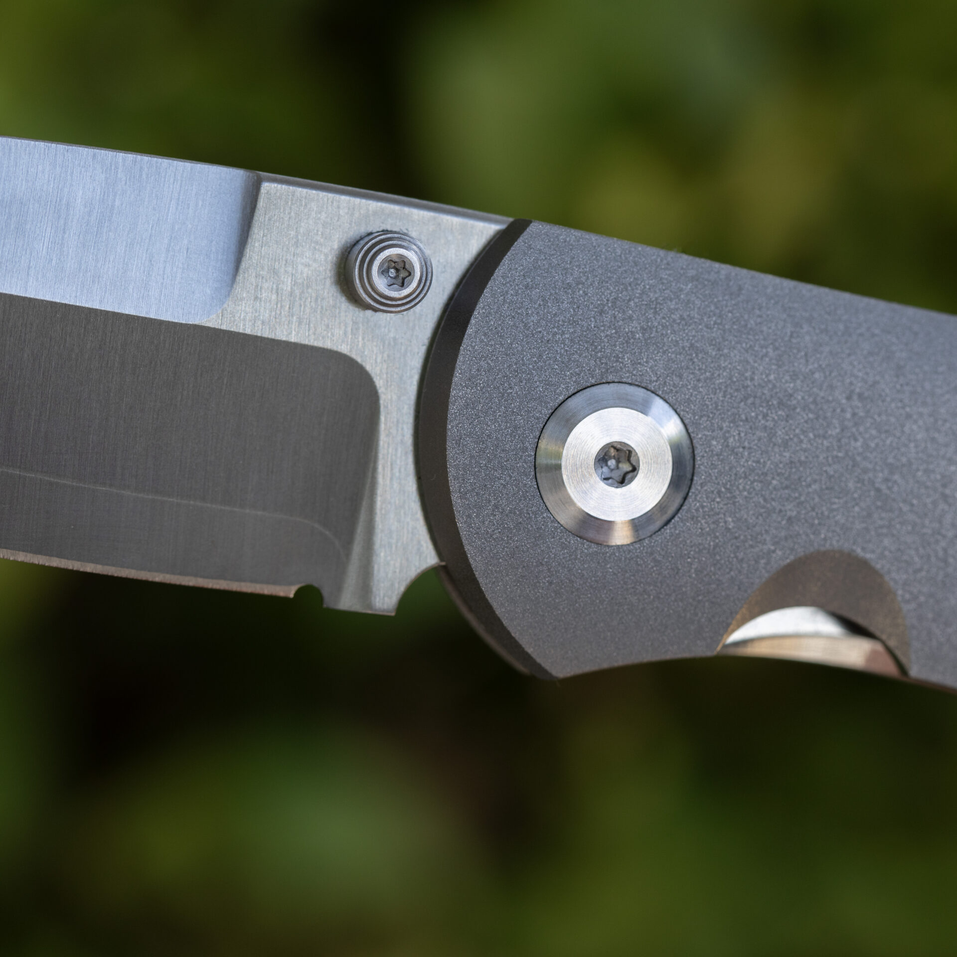 Monterey Bay Knives Rosalinda, Zirblast Titanium Handle, ZDP-189 (66-67HRC) - Image 7