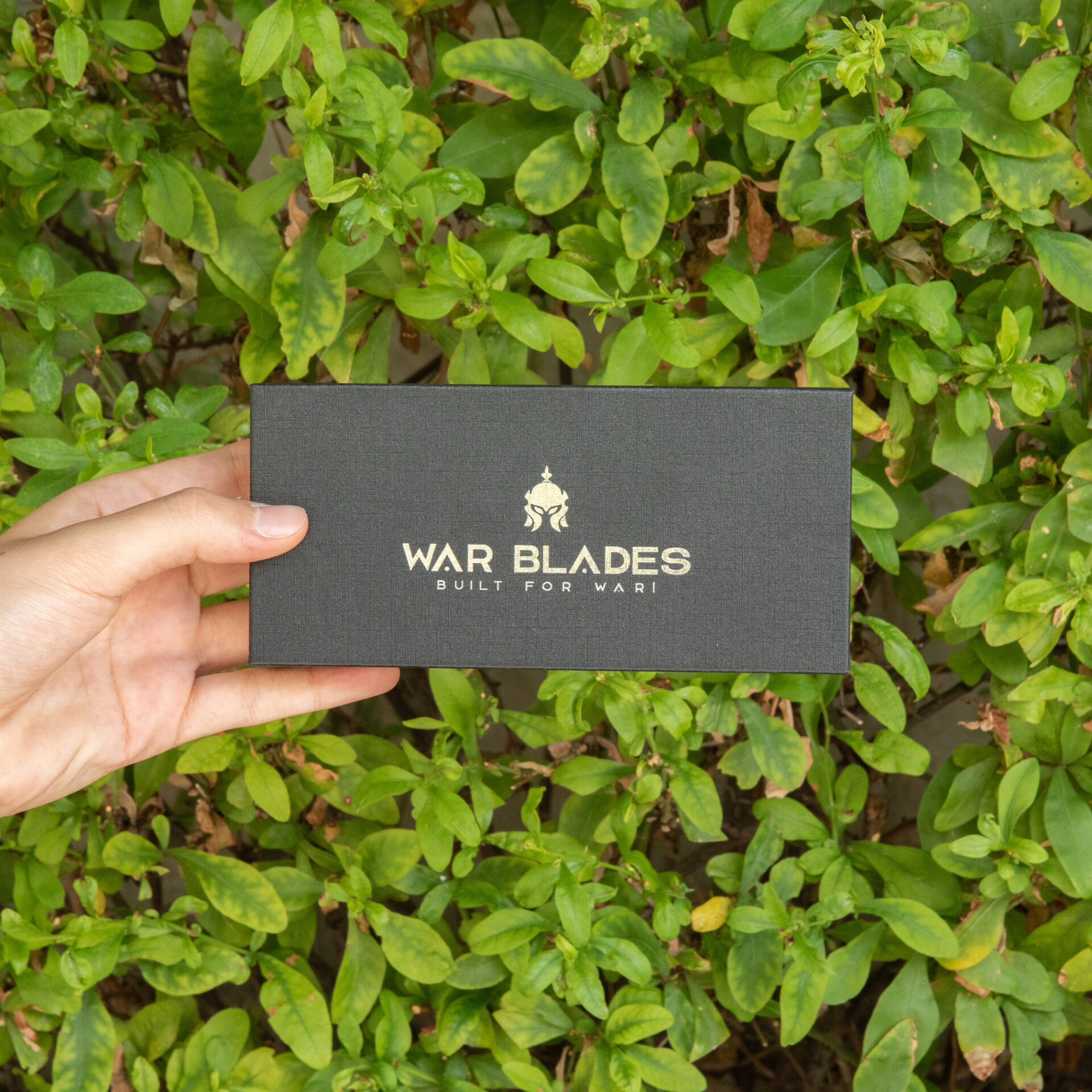 War Blades - Warrior (Standard) - Image 8